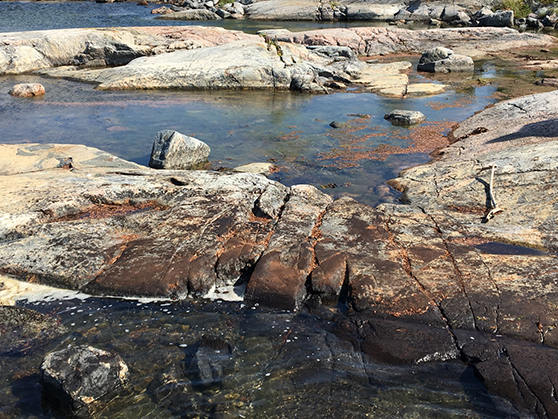 bild på strand som sanerats klart