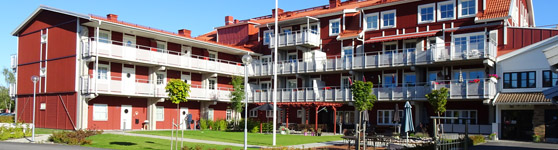 Rosavilla trädgård