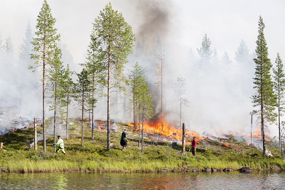 TFT7 gräsbrand