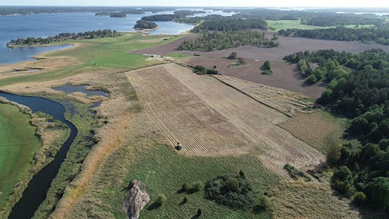 flygfoto Loftaån vass