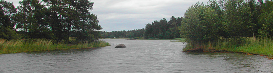 Vy över sund i Örserumsviken