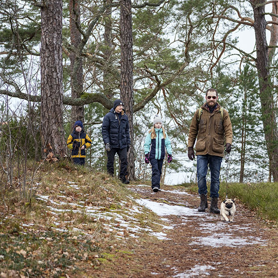 Familj som promenerar i skogen