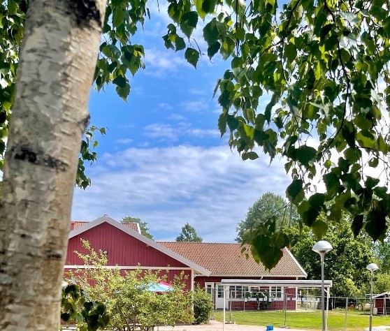 Rött hus, träd och buskar och blå himmel