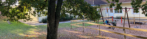 Träd framför lekpark på Näktergalens skola